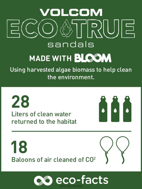 sandalias eco concourse abeto verde Z44ZX596 calzado hombres